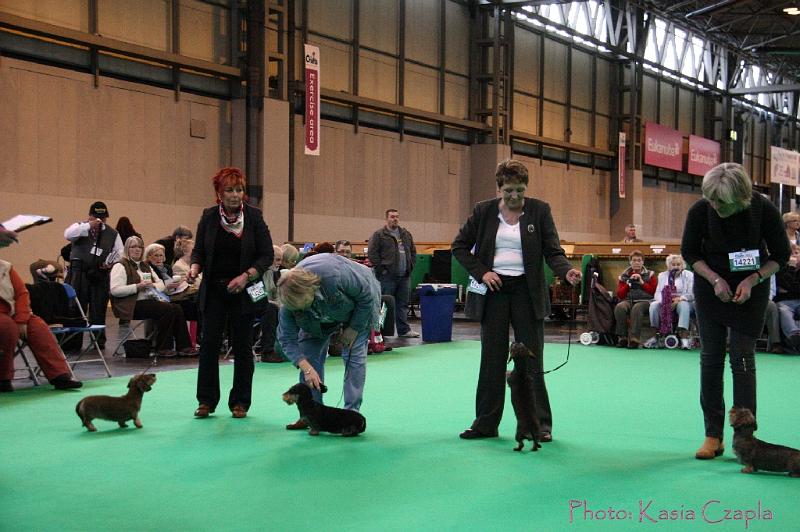 Crufts2011_2 1559.jpg